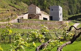 Melgaço Alvarinho Houses