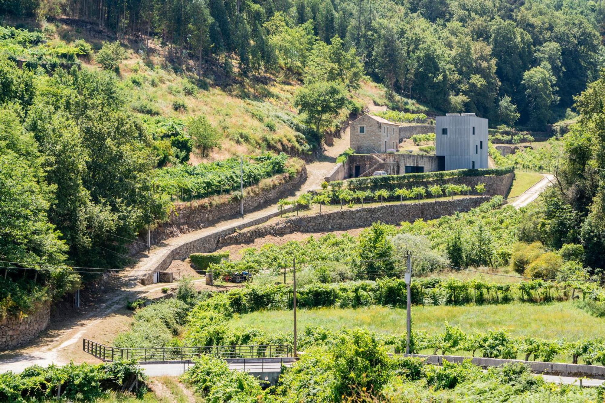 Melgaço Alvarinho Houses Extérieur photo